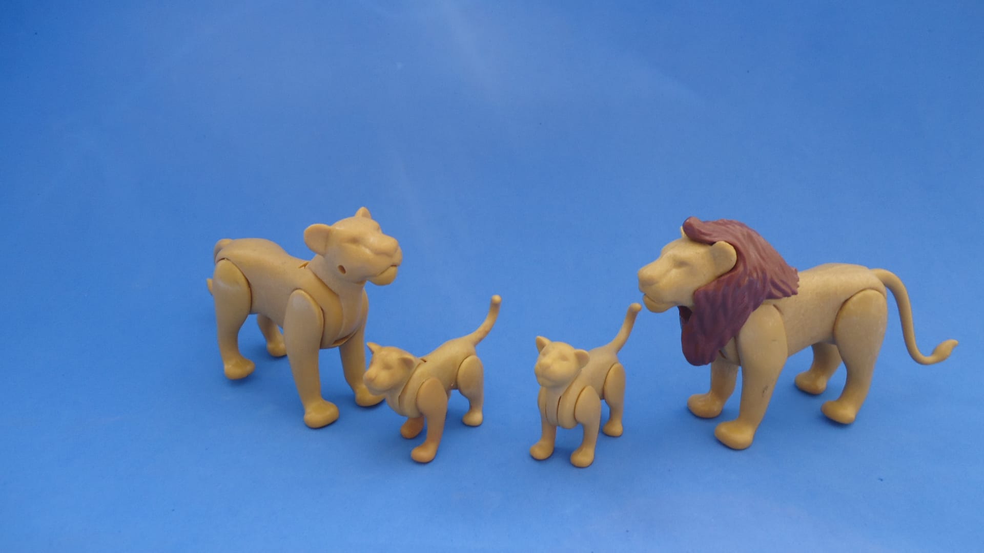 Playmobil Família de Leões